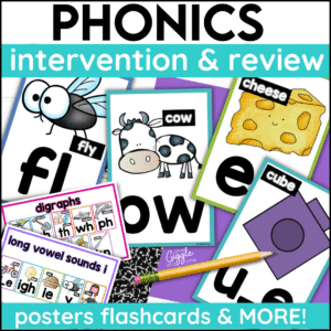 Phonics Intervention Review Posters Flash Cards Sound Charts